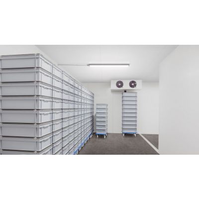 Oprawa hermetyczna Ledinaire WT060C 30W 3600lm IP66 4000K barwa neutralna LED36S/ 840 PSU 120cm PHILIPS (911401876680)